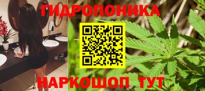 2c-b Обь