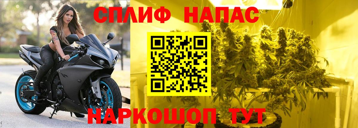 Благодарный  МАРИХУАНА Amnesia  Конопля THC 21%  Вход с VPN  Марихуана сатива  Шишки марихуана марихуана 